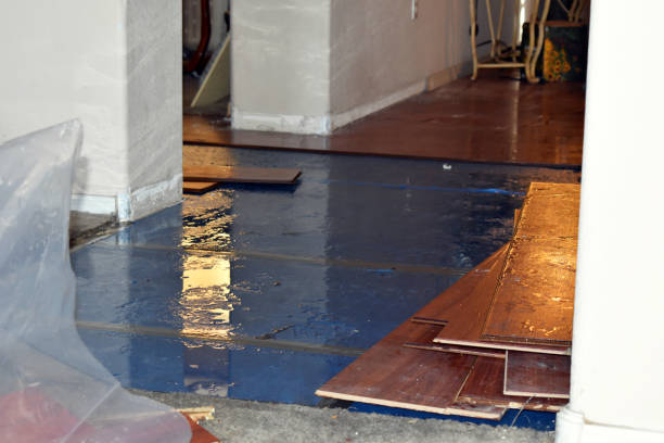 Professional Emergency Water Damage Restoration technician working in Fitchburg, WI